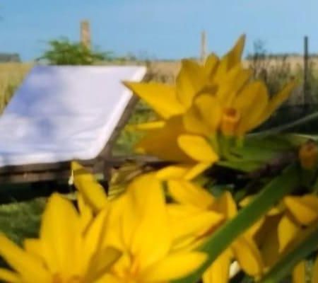 La Narcisa Villa Pehuajó Kültér fotó