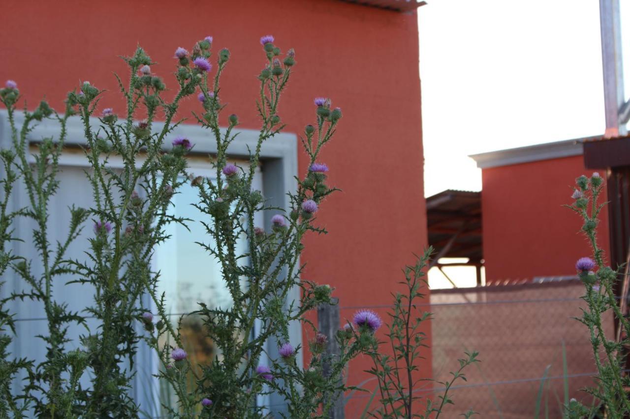 La Narcisa Villa Pehuajó Kültér fotó