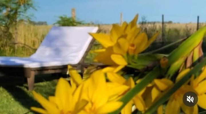 La Narcisa Villa Pehuajó Kültér fotó