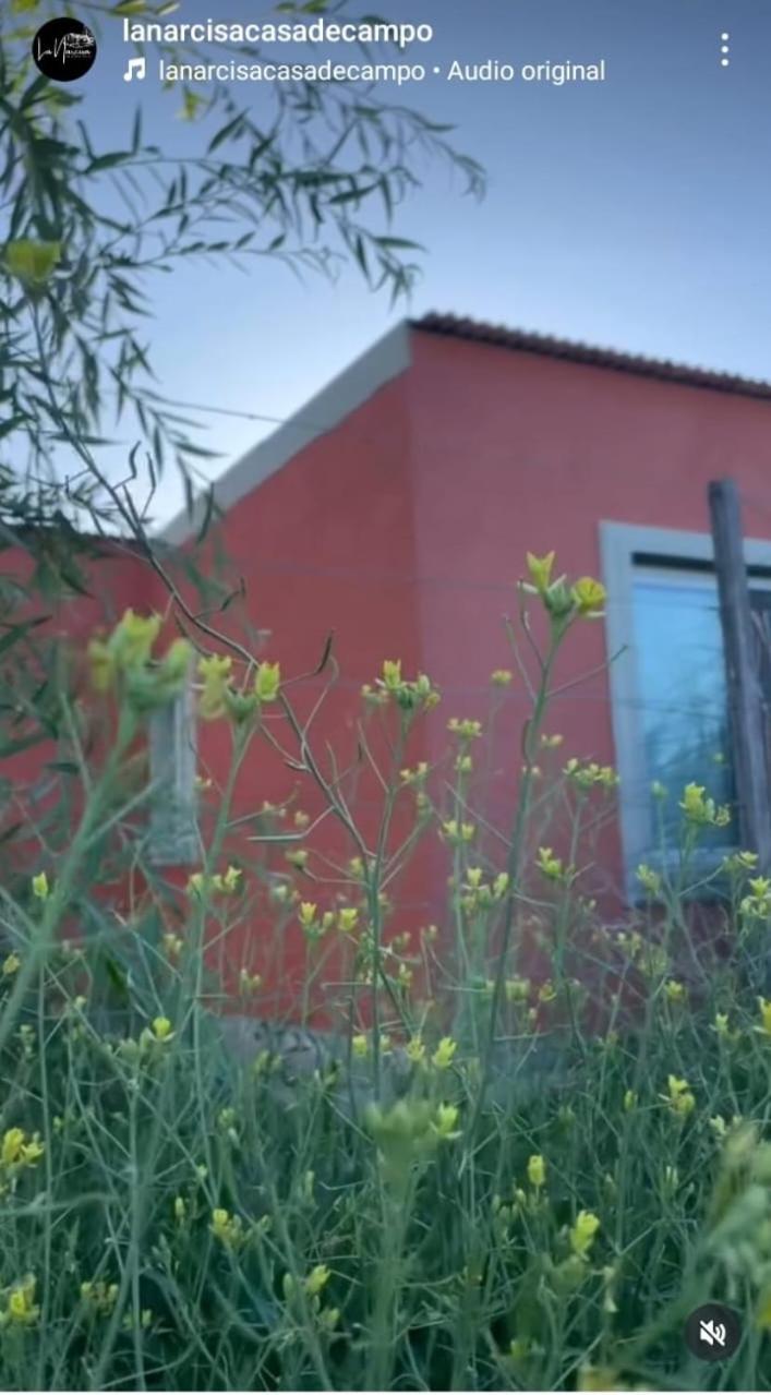 La Narcisa Villa Pehuajó Kültér fotó