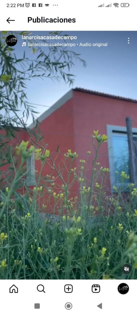 La Narcisa Villa Pehuajó Kültér fotó